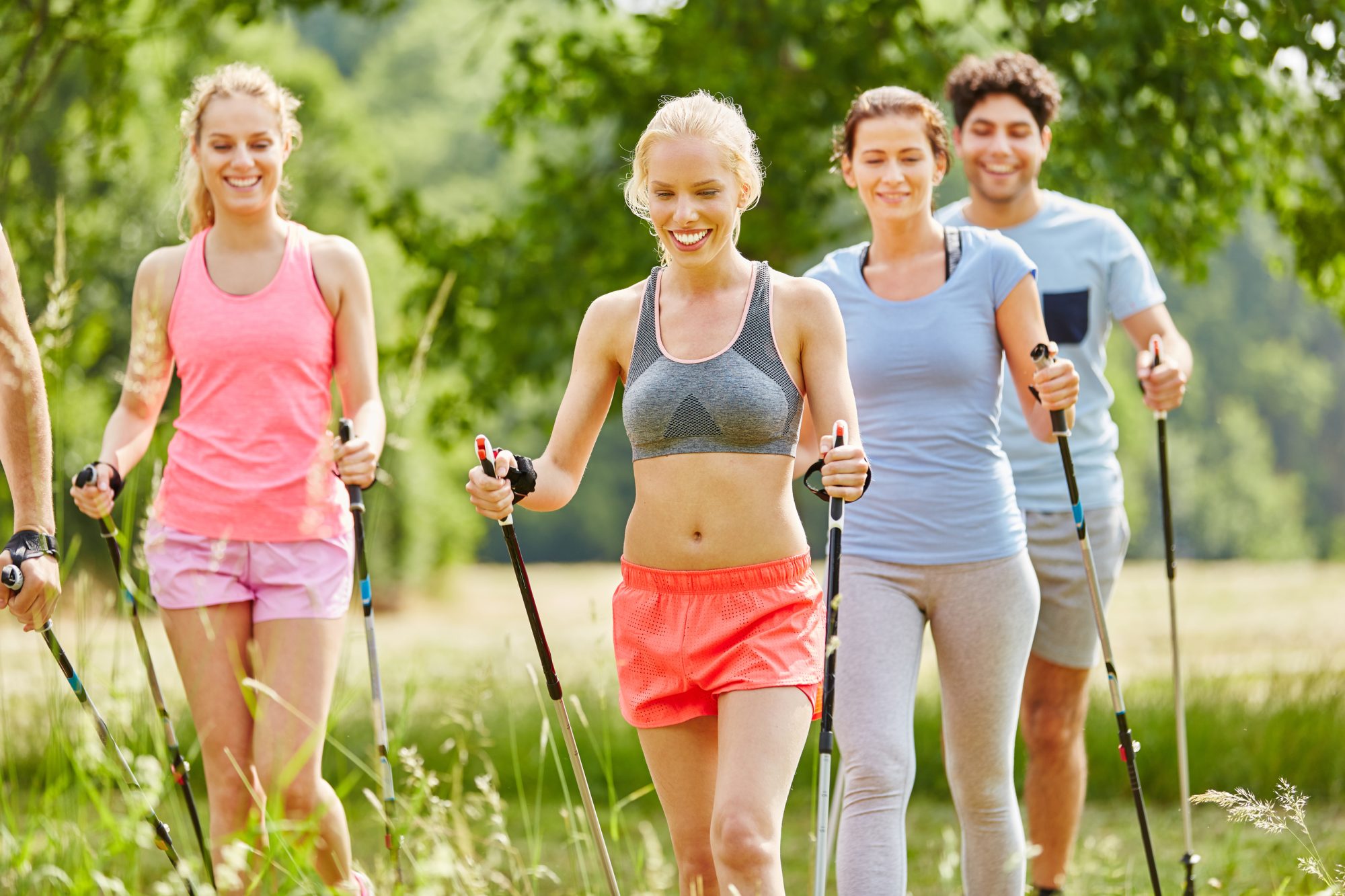 People in fitness course nordic walking in the nature